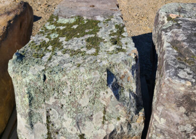 Square Shaped Mossy Boulders