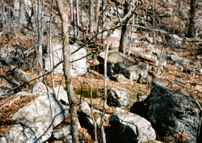 Oklahoma Stone Boulders In The Wild